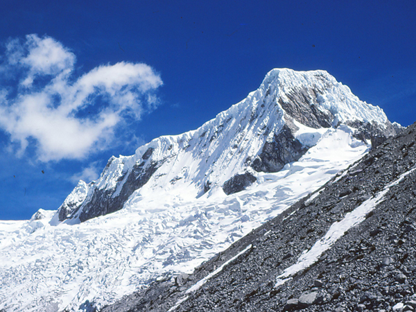 NEVADO PISCO